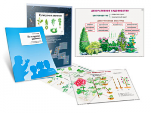 Комплект кодотранспарантов "Культурные растения" - fgospostavki.ru - Шумерля