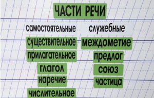 Набор магнитных карточек "Части речи" (фон зелёный) - fgospostavki.ru - Шумерля