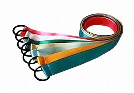 Лента гимнастическая на кольце (1 метр) - fgospostavki.ru - Шумерля