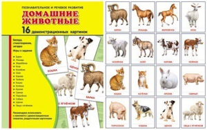 Демонстрационные карточки "Домашние животные" - fgospostavki.ru - Шумерля