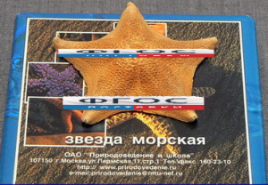 Сухой препарат "Звезда морская" - fgospostavki.ru - Шумерля