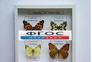 Коллекция "Семейство бабочек" - fgospostavki.ru - Шумерля