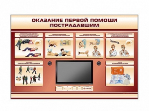 Многофункциональный интерактивный стенд-тренажер "Оказание первой помощи пострадавшим" для учащихся общеобразовательных учреждений - fgospostavki.ru - Шумерля