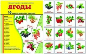 Демонстрационные карточки "Ягоды" - fgospostavki.ru - Шумерля