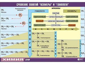 Таблица демонстрационная "Сравнение понятий изомер и гомолог" (винил 100x140) - fgospostavki.ru - Шумерля