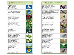 Комплект карточек (10) "Обучающий калейдоскоп. Природа" - fgospostavki.ru - Шумерля