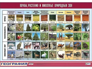 Таблица демонстрационная "Почвы, растения и животные природных зон" (винил 70*100) - fgospostavki.ru - Шумерля