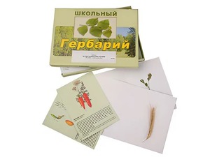 Гербарий "Культурные растения" (30 видов, с иллюстрациями) - fgospostavki.ru - Шумерля