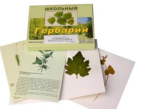 Гербарий "Систематика растений. Высшие споровые и семенные" (раздаточный) - fgospostavki.ru - Шумерля