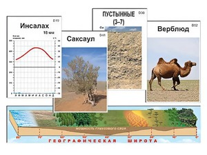 Модель-аппликация "Природные зоны" - fgospostavki.ru - Шумерля