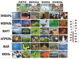 Фенологические наблюдения - fgospostavki.ru - Шумерля