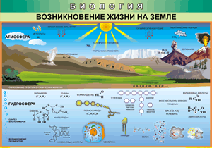 Таблица "Возникновение жизни на земле" (100х140 сантиметров, винил) - fgospostavki.ru - Шумерля