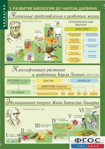 Комплект таблиц. Биология 10-11 класс. Эволюционное учение. - fgospostavki.ru - Шумерля