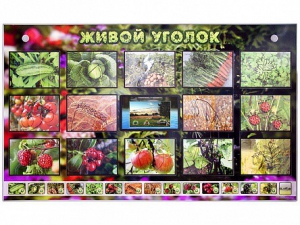 Комплект оборудования "Живой уголок" (растения) с тифлопереводом и сурдокомментариями - fgospostavki.ru - Шумерля