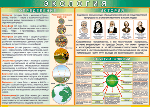 Таблица "Экология. Определения и история" (100х140 сантиметров, винил) - fgospostavki.ru - Шумерля