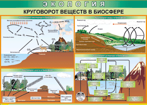 Таблица "Круговорот веществ в биосфере" (100х140 сантиметров, винил) - fgospostavki.ru - Шумерля