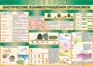 Таблица "Биотические взаимоотношения организмов" (100х140 сантиметров, винил) - fgospostavki.ru - Шумерля