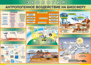 Таблица "Антропогенное воздействие на биосферу" (100х140 сантиметров, винил) - fgospostavki.ru - Шумерля