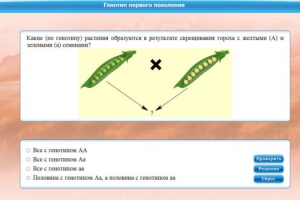 Интерактивные курсы. Биология 11 класс. Базовый. - fgospostavki.ru - Шумерля