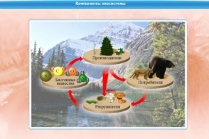 Интерактивные курсы. Биология 7 класс. Базовый. - fgospostavki.ru - Шумерля