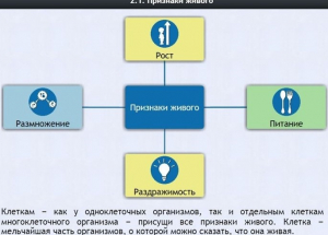 Интерактивные курсы. Биология 5 класс. Базовый - fgospostavki.ru - Шумерля