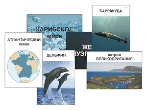 Модель-аппликация "Океаны. Знакомство" (ламинированная) - fgospostavki.ru - Шумерля