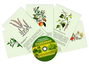 Интерактивный наглядный комплекс "Гербарий "Для начальной школы" - fgospostavki.ru - Шумерля