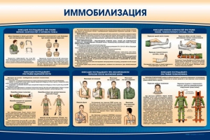 Стенд "Иммобилизация" - fgospostavki.ru - Шумерля