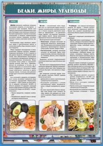 Стенд "Белки. Жиры. Углеводы" - fgospostavki.ru - Шумерля
