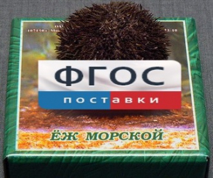 Сухой препарат "Еж морской" - fgospostavki.ru - Шумерля