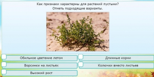 Интерактивные курсы. Окружающий мир 3 класс . Базовый. - fgospostavki.ru - Шумерля