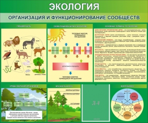 Стенд "Экология. Организация и функционирование сообществ" - fgospostavki.ru - Шумерля