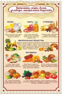 Стенд "Витамины, жиры, белки" - fgospostavki.ru - Шумерля