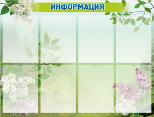 Стенд "Информация" Вариант 13 - fgospostavki.ru - Шумерля