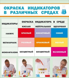 Стенд "Окраска индикаторов в различных средах" - fgospostavki.ru - Шумерля