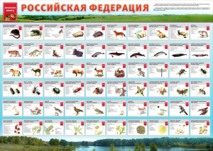 Стенд "Красная книга РФ" - fgospostavki.ru - Шумерля