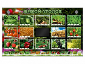 Комплект оборудования "Живой уголок" (растения) - fgospostavki.ru - Шумерля