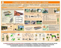 Комплект плакатов "Кинология" - fgospostavki.ru - Шумерля