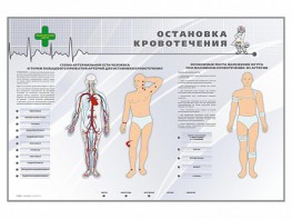 Электрифицированный стенд "Остановка кровотечения" - fgospostavki.ru - Шумерля