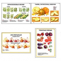 Плакаты ПРОФТЕХ "Ассортимент овощных культур" (12 пл, винил, 70х100) - fgospostavki.ru - Шумерля
