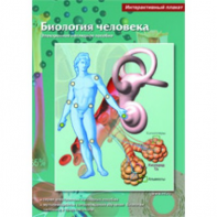 Интерактивные плакаты. Биология человека. Программно-методический комплекс - fgospostavki.ru - Шумерля
