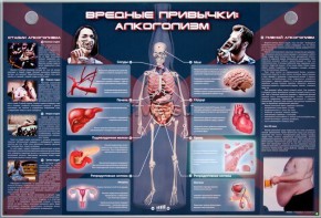 Электрифицированный стенд "Вредные привычки: алкоголизм" - fgospostavki.ru - Шумерля