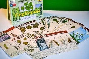 Гербарий к курсу основ общей биологии - fgospostavki.ru - Шумерля