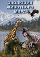 DVD "Эволюция животного мира" - fgospostavki.ru - Шумерля