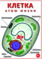 DVD "Клетка - "атом жизни" - fgospostavki.ru - Шумерля