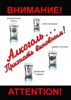 DVD "Алкоголь. Признать виновным" - fgospostavki.ru - Шумерля