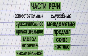 Набор магнитных карточек "Части речи" (фон зелёный) - fgospostavki.ru - Шумерля