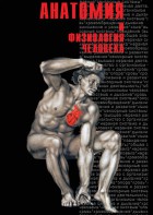 DVD "Анатомия 2" - fgospostavki.ru - Шумерля