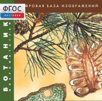 Ботаника. Микрофотографии. (Цифровая база изображений) - fgospostavki.ru - Шумерля