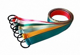 Лента гимнастическая на кольце (0,5 метра) - fgospostavki.ru - Шумерля